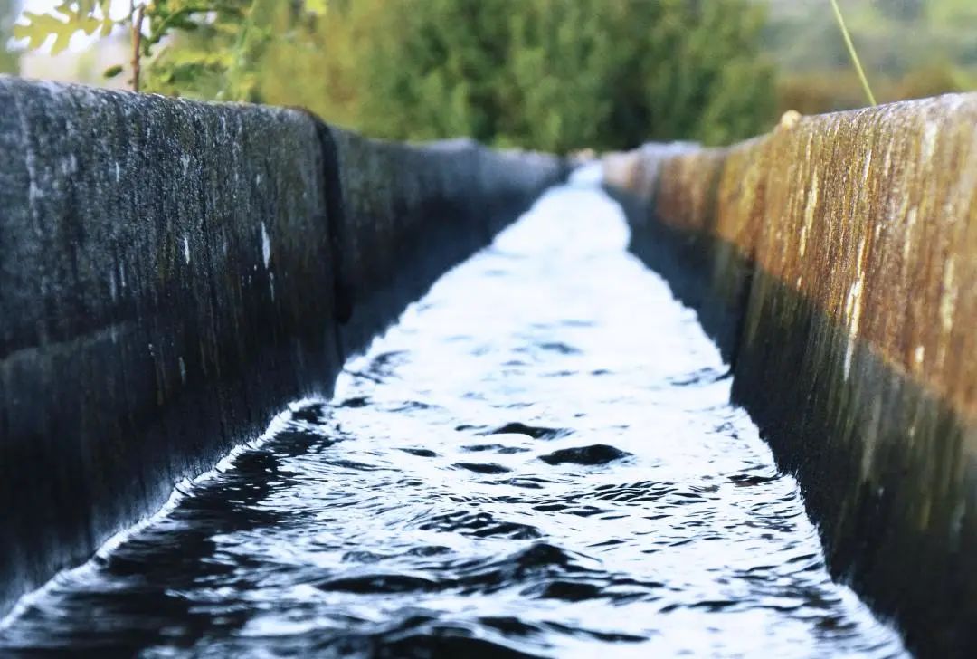 1677206417947641.jpg 6.jpg